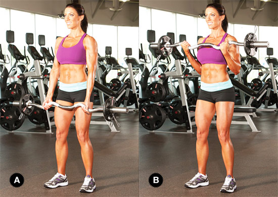 a female performing ez barbell curls as part of her bicep workout in the gym