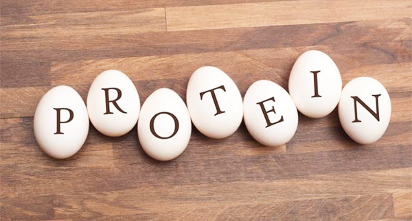 Protein For Female Weight Loss How Much Protein Does A Woman Need To 