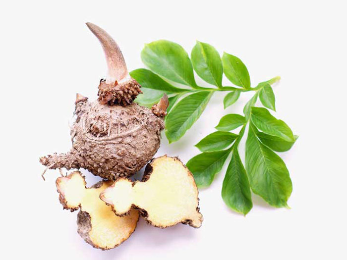 glucomannan a natural fiber for weightloss