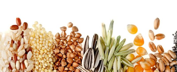 Grains and legumes