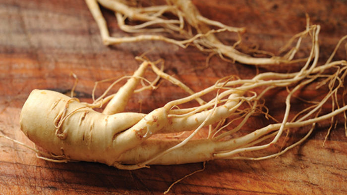 Asian ginseng root