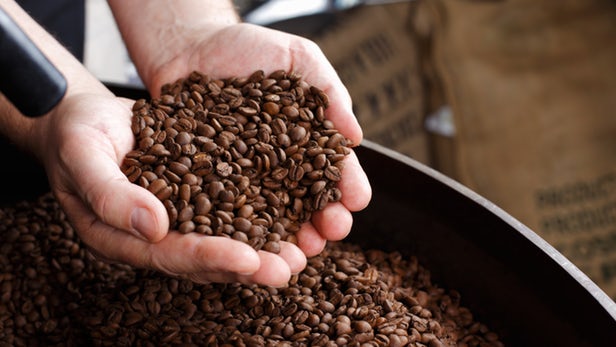 someone holding coffee beans