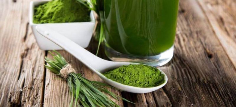 green tea extract safety