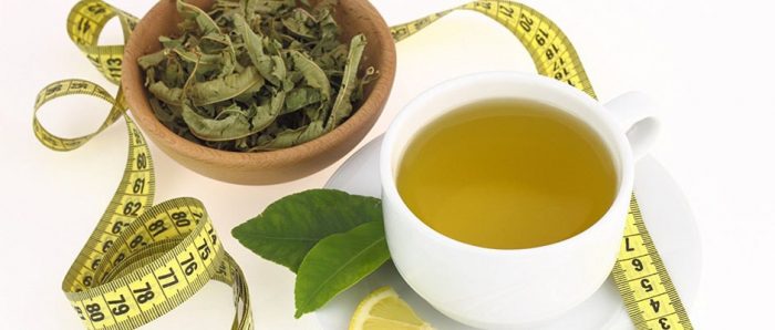 green tea extract and weight loss 
