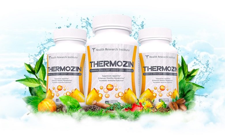 Photo of Thermozin Review – Does it work?